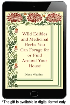 Herbal Preparation & Plant Knowledge Guide